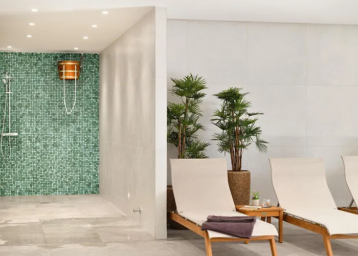 Pullman La Pleiade Centre Hotel Montpellier